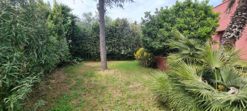 IMG-20250710-WA0019