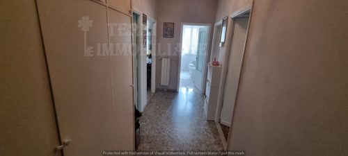 Foto4