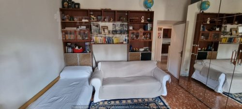 Foto8
