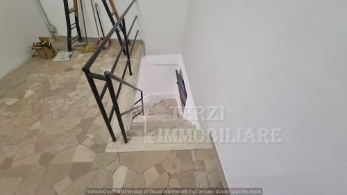 Foto11