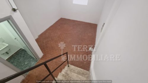 Foto13