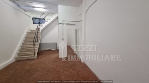 Foto19
