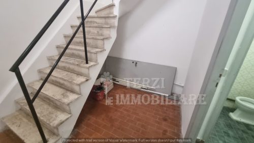 Foto20