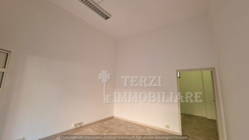 Foto6