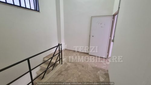 Foto9